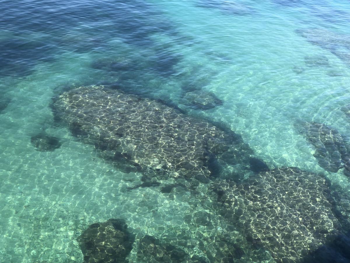 B&B Ortigia Sea View Syracuse Eksteriør billede